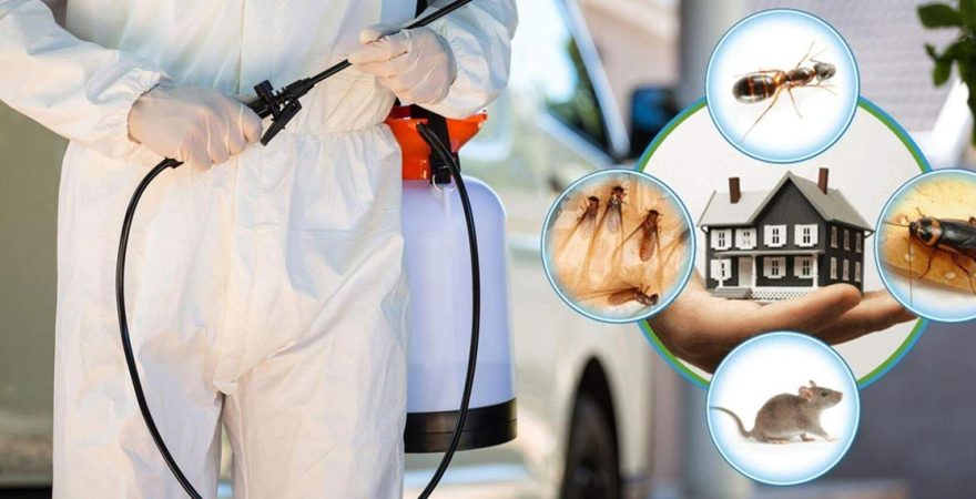 Silivri Böcek İlaçlama