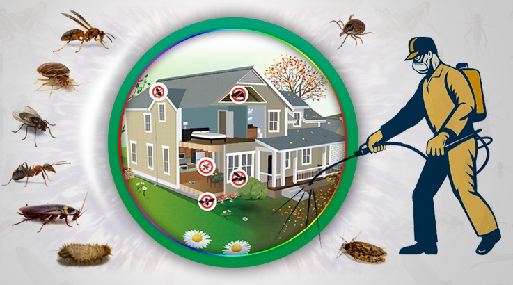 Silivri Böcek İlaçlama