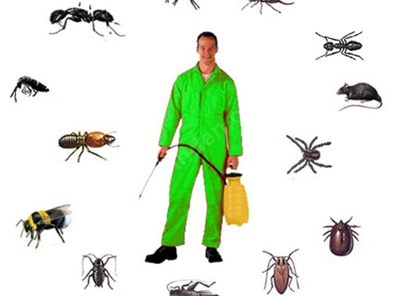 Silivri Böcek İlaçlama